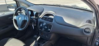 FIAT Punto usata 10