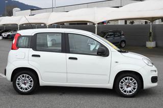FIAT Panda usata, con Alzacristalli elettrici