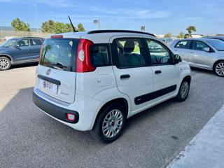 FIAT Panda usata, con Autoradio