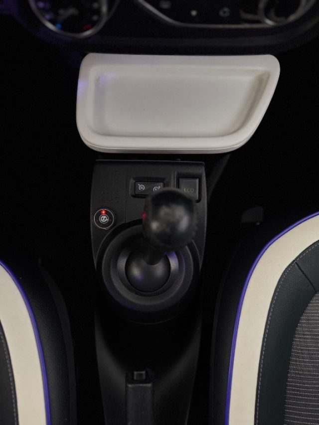 RENAULT Twingo usata 13