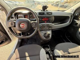 FIAT Panda usata 9
