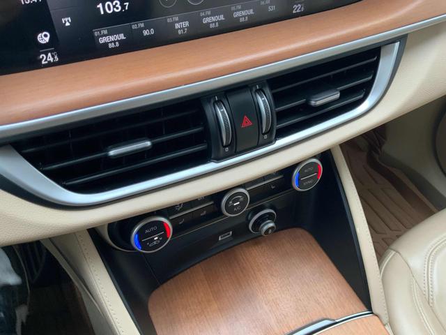 ALFA ROMEO Stelvio usata, con Airbag testa