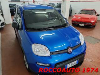 FIAT Panda usata, con Servosterzo