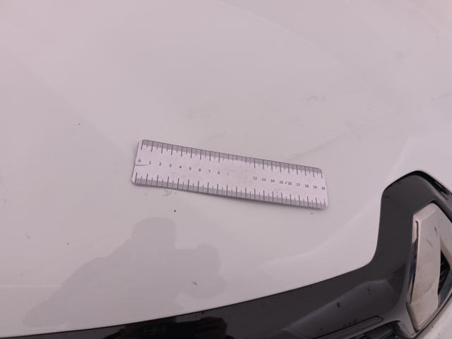 RENAULT Clio usata, con Hill holder