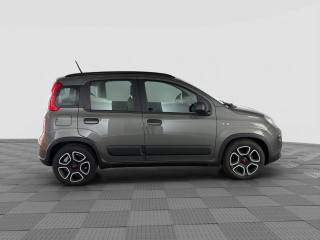 FIAT Panda usata 5