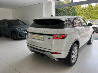 LAND ROVER Range Rover Evoque usata, con Fendinebbia