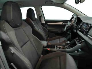 SKODA Karoq usata, con Filtro antiparticolato