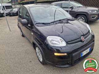 FIAT Panda usata, con Airbag Passeggero