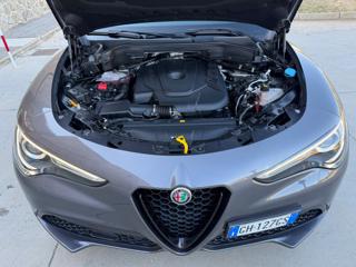 ALFA ROMEO Stelvio usata, con Bracciolo