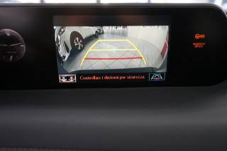 LEXUS UX 250h usata, con Cruise Control