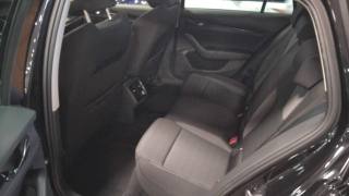 SKODA Octavia usata, con Climatizzatore