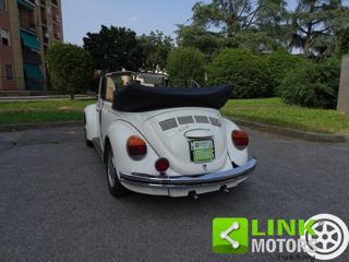 VOLKSWAGEN Maggiolone usata 12