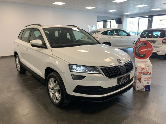 SKODA Karoq usata, con ABS
