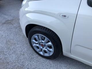 FIAT Panda usata 13