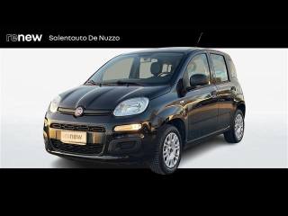 FIAT Panda 1.2 69cv Easy S&S my19