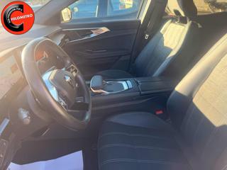 RENAULT Austral usata, con Fendinebbia