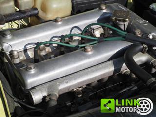 ALFA ROMEO Spider usata 72