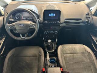 FORD EcoSport usata, con Cruise Control