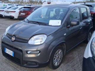 FIAT Panda usata, con Airbag
