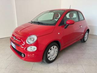 FIAT 500 usata 16