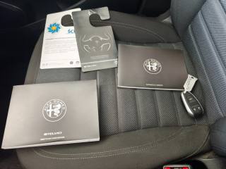 ALFA ROMEO Stelvio usata, con ESP