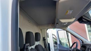 FORD Transit usata, con Hill holder
