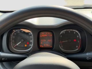 FIAT Panda usata 14