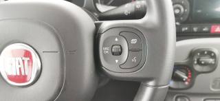 FIAT Panda usata 35