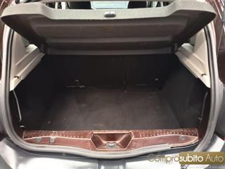 DACIA Sandero usata 23
