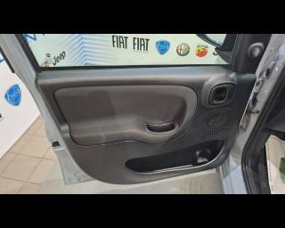 FIAT New Panda usata 18