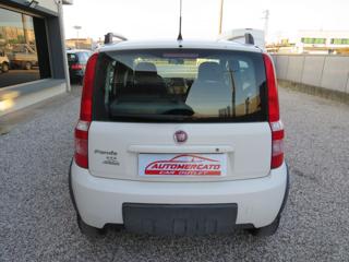 FIAT Panda usata, con Servosterzo
