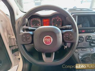 FIAT Panda usata 16