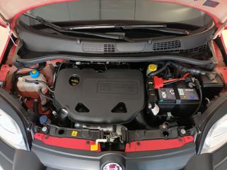 FIAT Panda Cross usata 56