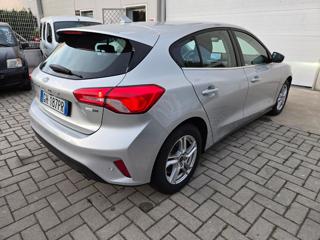 FORD Focus usata 25
