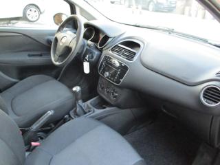 FIAT Punto usata 10