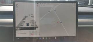 TESLA Model Y usata 83