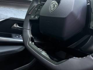 PEUGEOT 3008 usata, con Vetri oscurati