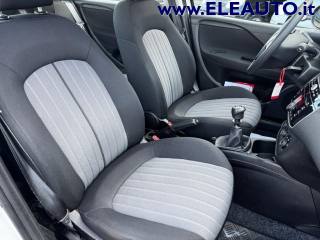 FIAT Punto usata 14