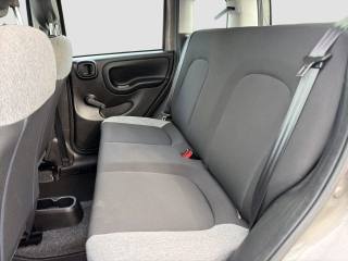 FIAT Panda usata 10