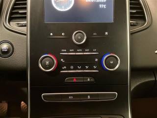 RENAULT Scenic usata 20