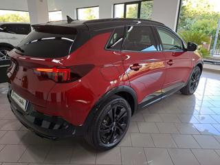 OPEL Grandland usata, con Vetri oscurati