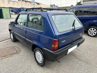FIAT Panda usata, con Chiusura centralizzata