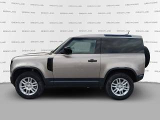 LAND ROVER Defender usata, con Fendinebbia