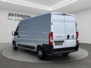 FIAT Ducato usata, con Servosterzo