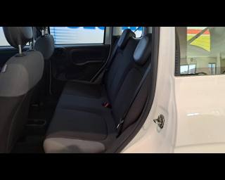 FIAT New Panda usata 19