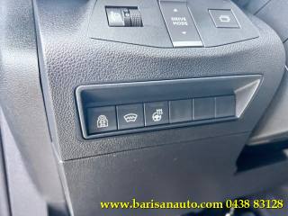 FIAT Doblo usata, con Controllo trazione