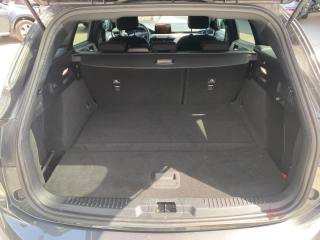 FORD Focus usata, con Sedile posteriore sdoppiato