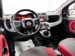 FIAT Panda usata 13