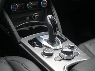 ALFA ROMEO Stelvio usata, con Cronologia tagliandi