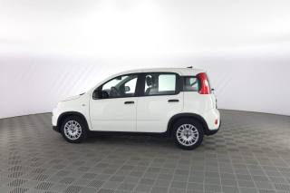 FIAT Panda usata 5